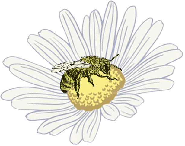Bee on flower