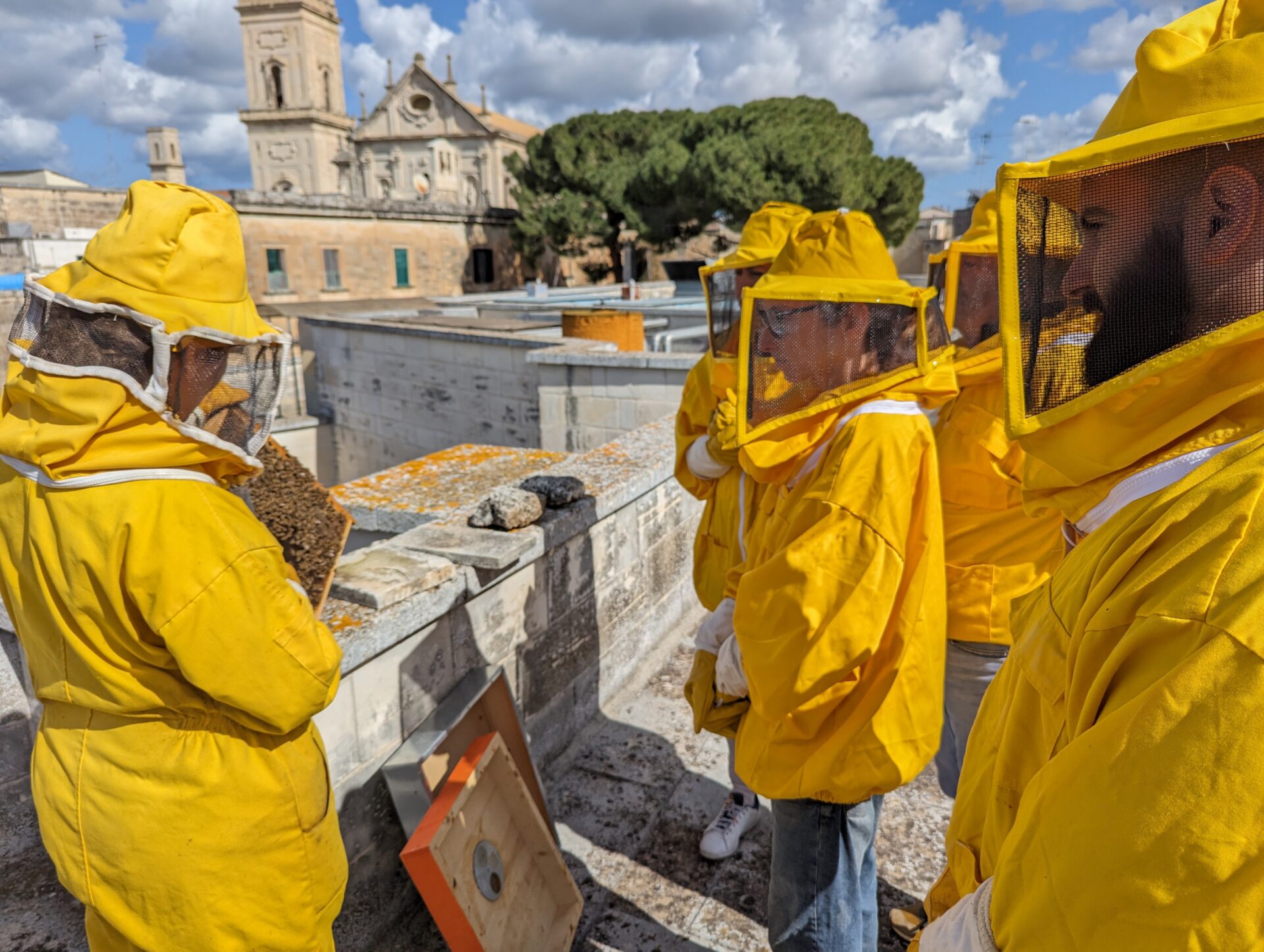 Coso di apicoltura ubana a Lecce