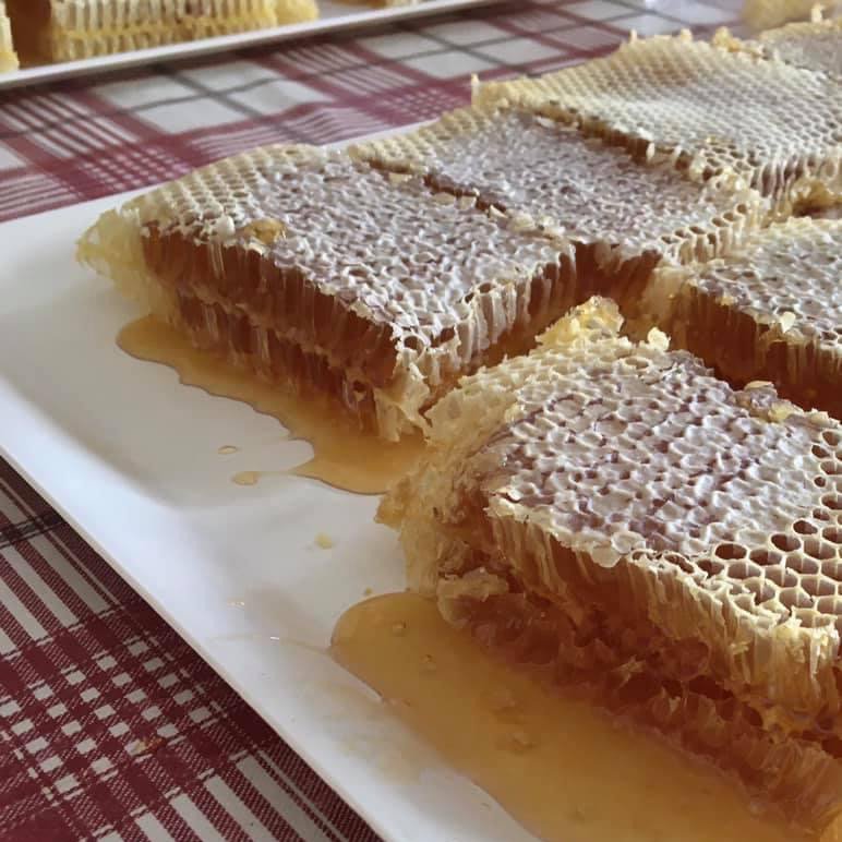 Favi di miele