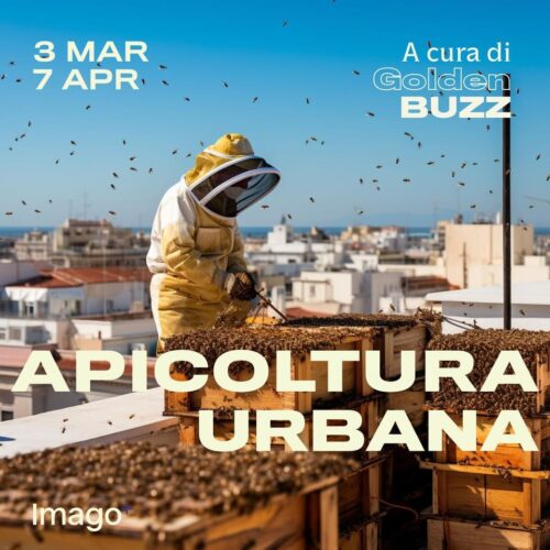Corso di Apicoltura Urbana – Bari