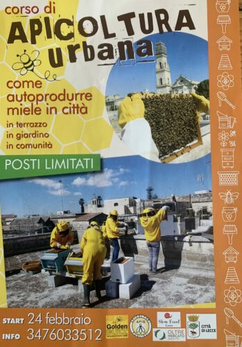 Corso di Apicoltura Urbana