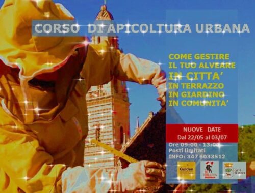 Corso di Apicoltura Urbana