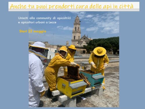 Corso di Apicoltura Urbana