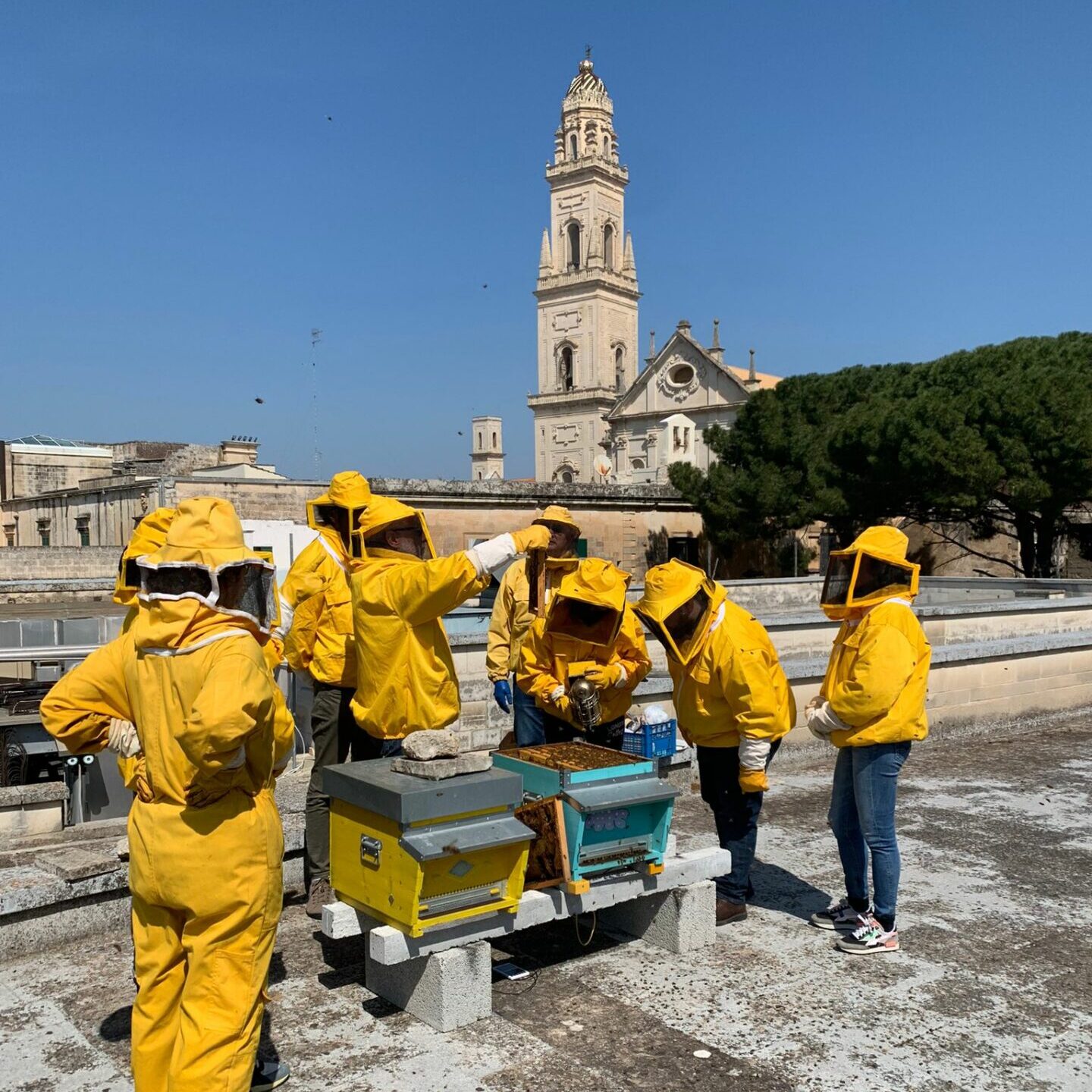 apicoltura lecce