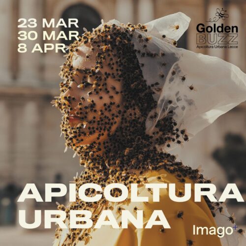 Corso di Apicoltura Urbana 2025 – Bari